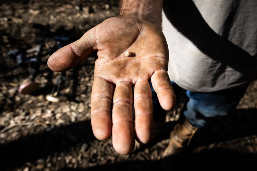 (Top) Rusty Simpson searches for gold in a river outside Angels Camp, Calif., on Feb. 5, 2026. (Bottom Left) Miners search for gold in a river outside Angels Camp, Calif., on Feb. 5, 2026. (Bottom Right) A gold sample found outside Angels Camp, Calif., on Feb. 5, 2026. (John Fredricks/The Epoch Times)