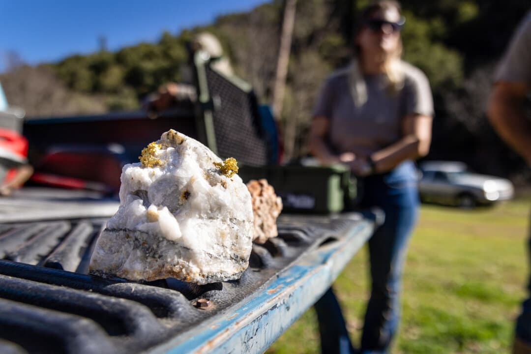 Miners display a crystalline gold sample found outside of Angels Camp, Calif., on Feb. 5, 2026. (John Fredricks/The Epoch Times)