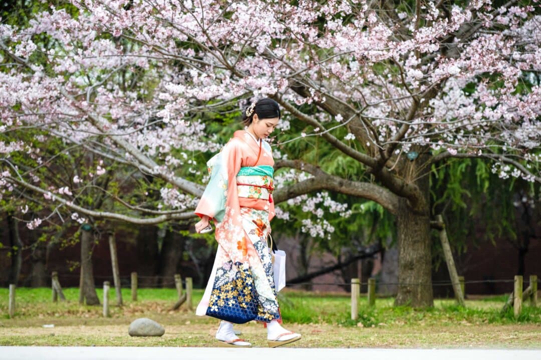 A woman in traditional dress walks past a cherry blossom tree at Ueno Park in Tokyo on March 25, 2026. (Andrew Caballero-Reynolds/AFP via Getty Images)
