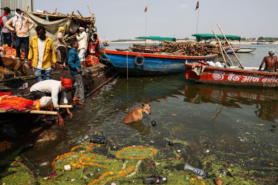 A dog takes a dip in the river Ganges at Manikarnika Ghat in Varanasi, India, on April 2, 2026. (Niharika Kulkarni/AFP via Getty Images)