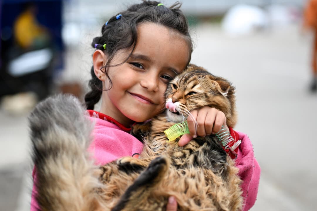 A displaced girl cuddles her cat at the entrance of a tent at an unofficial camp for displaced people on Beirut's waterfront area in Lebanon on April 2, 2026. (Joseph Eid/AFP via Getty Images)