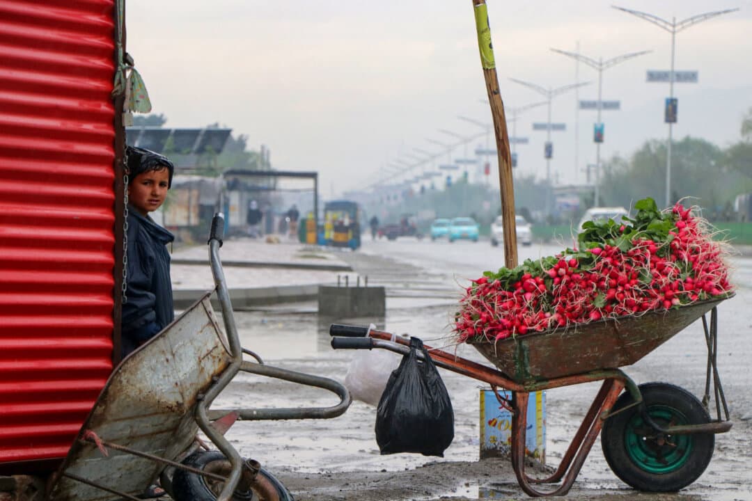 An Afghan boy stands near a wheelbarrow laden with radishes along a road, during rainfall in Charikar, Afghanistan, on April 2, 2026. (AFP via Getty Images)