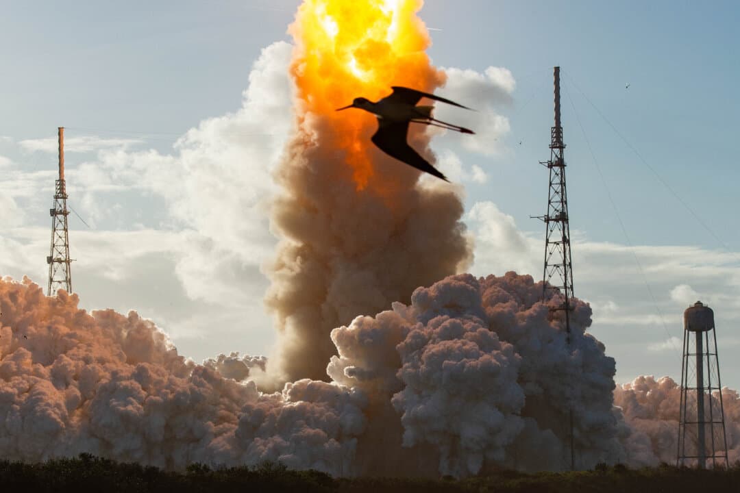 A bird flies past as the Artemis II crewed lunar mission lifts off from Pad 39B at Kennedy Space Center in Cape Canaveral, Fla., on April 1, 2026. (Jim Watson/AFP via Getty Images)
