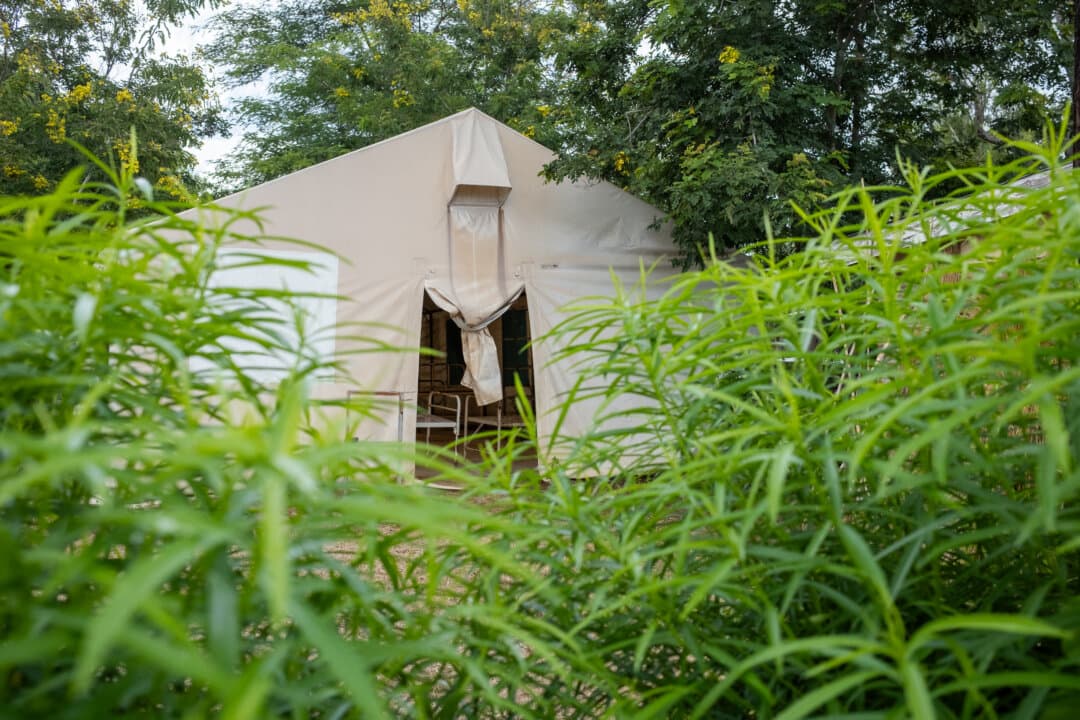 A cholera isolation tent awaits patients outside of Monkey Bay, Malawi, on Feb. 18, 2026. (John Fredricks/The Epoch Times)