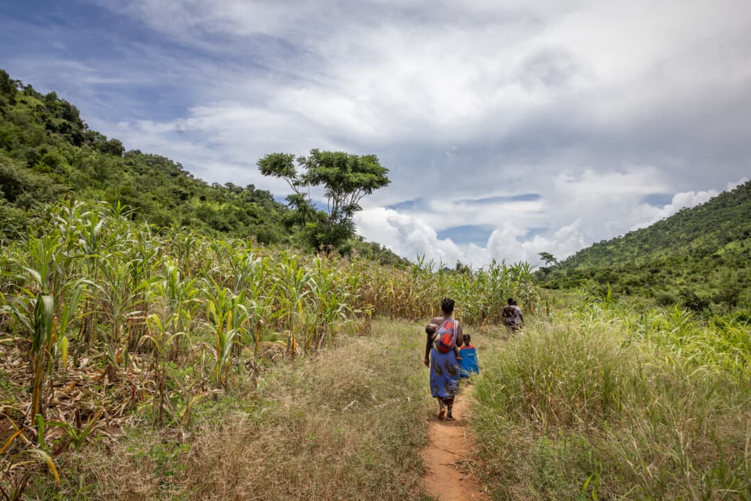 A woman walks to a river in Machinga District of Malawi on Feb. 19, 2026. (John Fredricks/The Epoch Times)