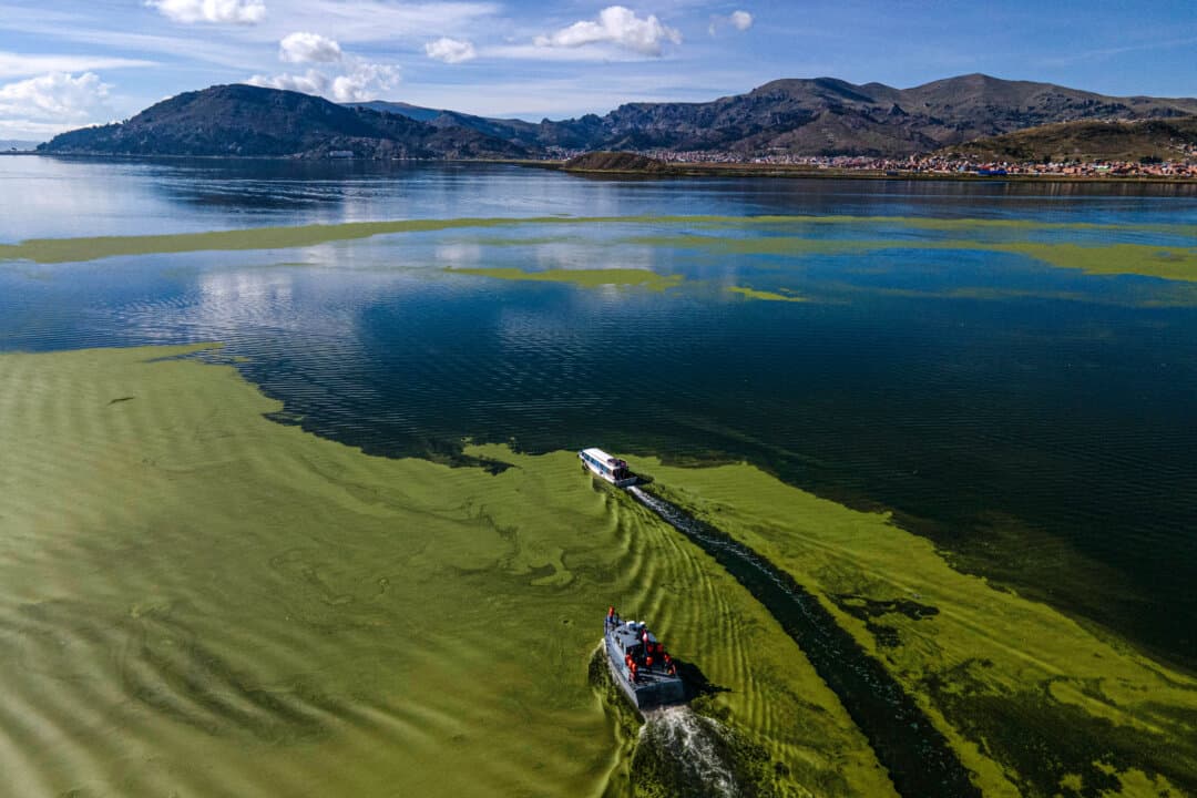 Boats carrying election materials to the islands of Amantani and Taquile on Lake Titicaca from Puno, Peru, on April 10, 2026. Peru will hold general elections on April 12. (Juan Carlos Cisneros/AFP via Getty Images)