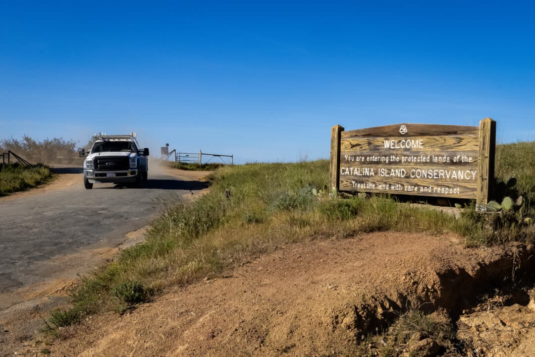 A Catalina Island Conservancy sign marks protected lands outside of Avalon, Calif, on March 17, 2026. The conservancy, a nonprofit that controls 88 percent of Santa Catalina Island’s 48,000 acres, claims mule deer overgraze rare native plants and pose a threat to the island’s fragile ecosystem. (John Fredricks/The Epoch Times)