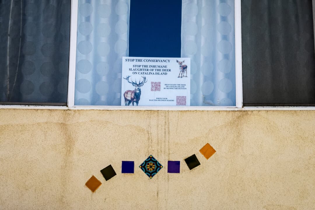 A resident displays a sign supporting Catalina Island’s deer population in Avalon, Calif., on March 18, 2026. (John Fredricks/The Epoch Times)