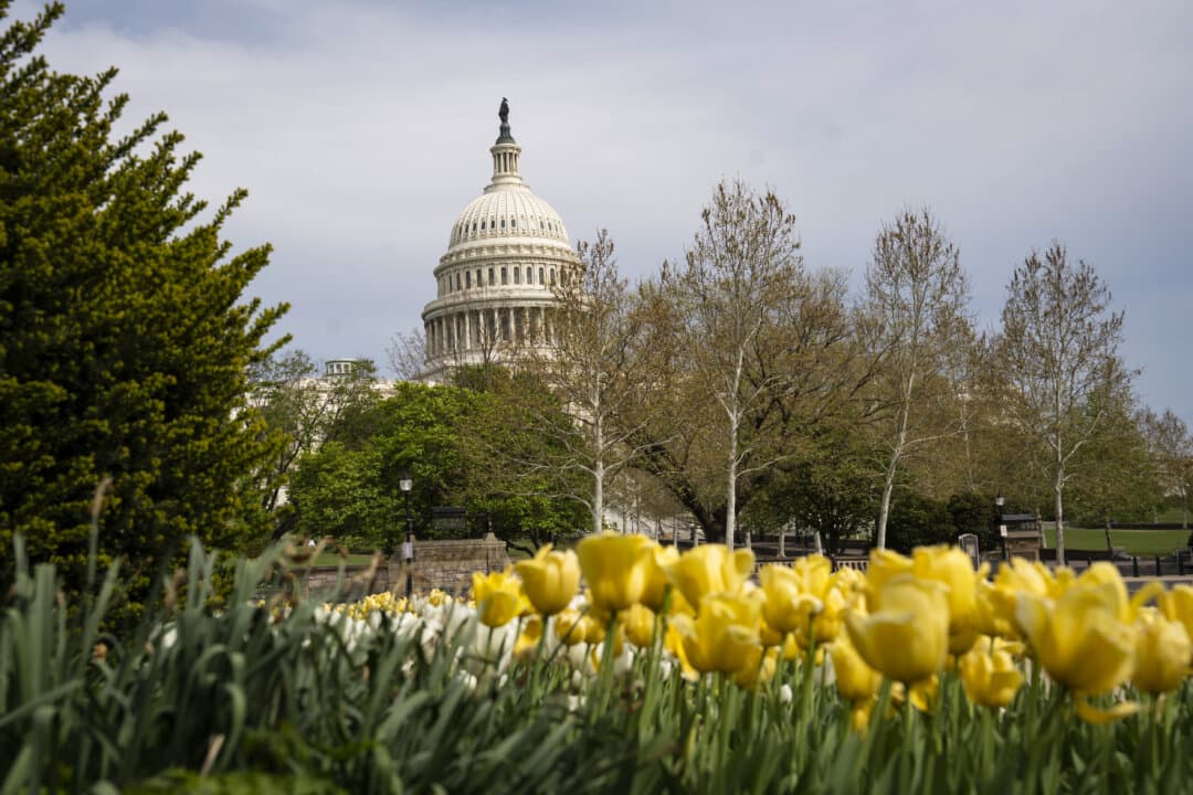 The U.S. Capitol building in Washington on April 13, 2026. (Madalina Kilroy/The Epoch Times)