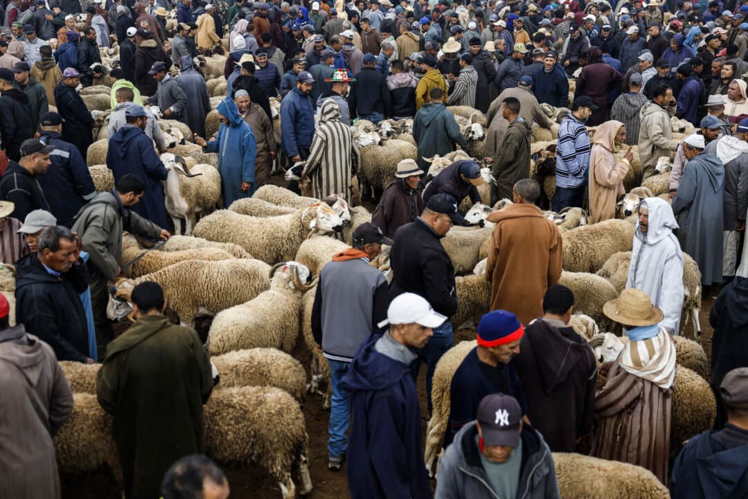 Merchants and customers stand amid sheep at the Souk Larbia Guffaf livestock market in Khouribga Province in Morocco on April 22, 2026. Souk Larbia Guffaf is one of the largest local markets and is particularly known for the quality of its livestock. (Abdel Majid Bziouat/AFP via Getty Images)