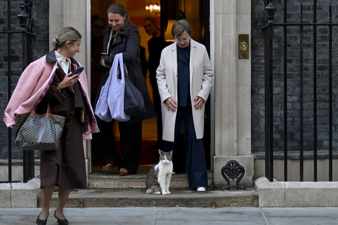 First Lady of Austria Doris Schmidauer (R) meets Larry the Cat as she leaves Number 10 Downing Street after attending a reception for a delegation from the Summit of First Ladies and Gentlemen Global Platform hosted by Victoria Starmer, wife of UK Prime Minister Keir Starmer, on May 14, 2026. The event is taking place as part of the UK-Ukraine 100-Year Partnership, established in 2025 to strengthen long-term ties between the two nations. (Leon Neal/Getty Images)