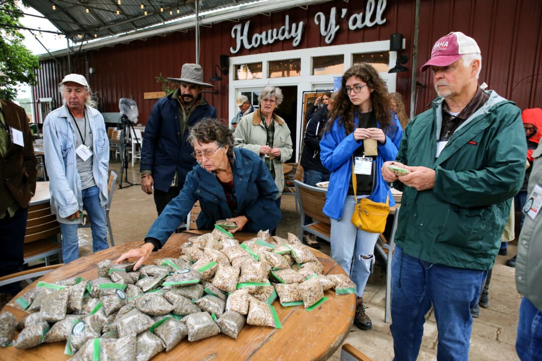 Participants at the American Regeneration Summit collect seeds at Sovereignty Ranch in Bandera, Texas, on May 1, 2026. The conference brought together leaders in regenerative farming to discuss technologies and methods aimed at reducing chemical use while maintaining profitability. (Bobby Sanchez for The Epoch Times)