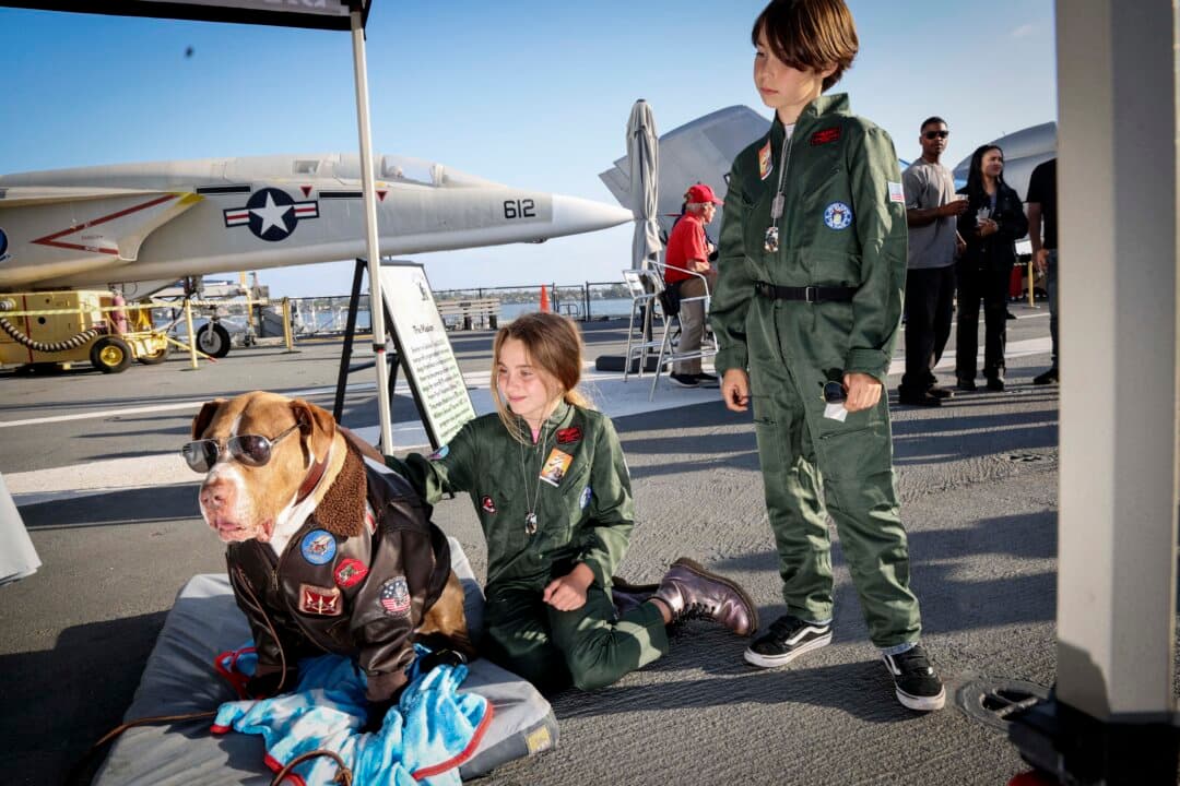 A dog dressed as Maverick poses for fans aboard the USS Midway Museum during the Top Gun 40th Anniversary celebration in San Diego on May 22, 2026. (Sandy Huffaker/AFP via Getty Images)