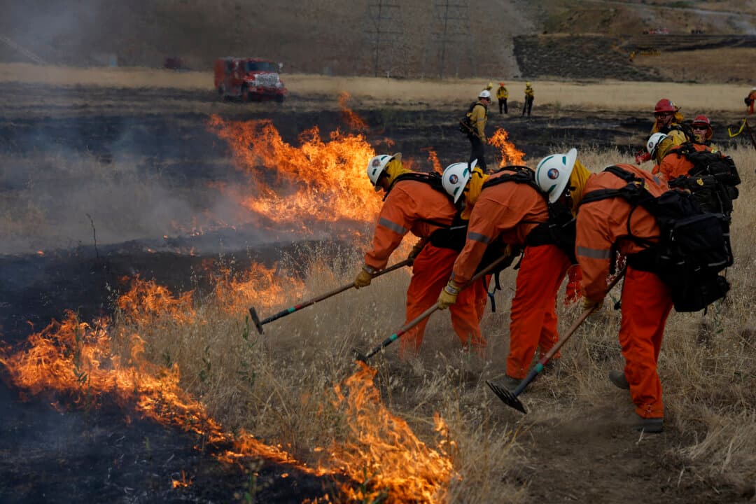 California Department of Corrections and Rehabilitation (CDCR) inmate firefighters use hand tools to battle a grass fire during a live fire wildland training exercise at Castaic Lake in Castaic, Calif., on May 27, 2026. Los Angeles County firefighters trained CDCR inmate hand crews in wildland firefighting techniques ahead of California’s fire season. (Justin Sullivan/Getty Images)