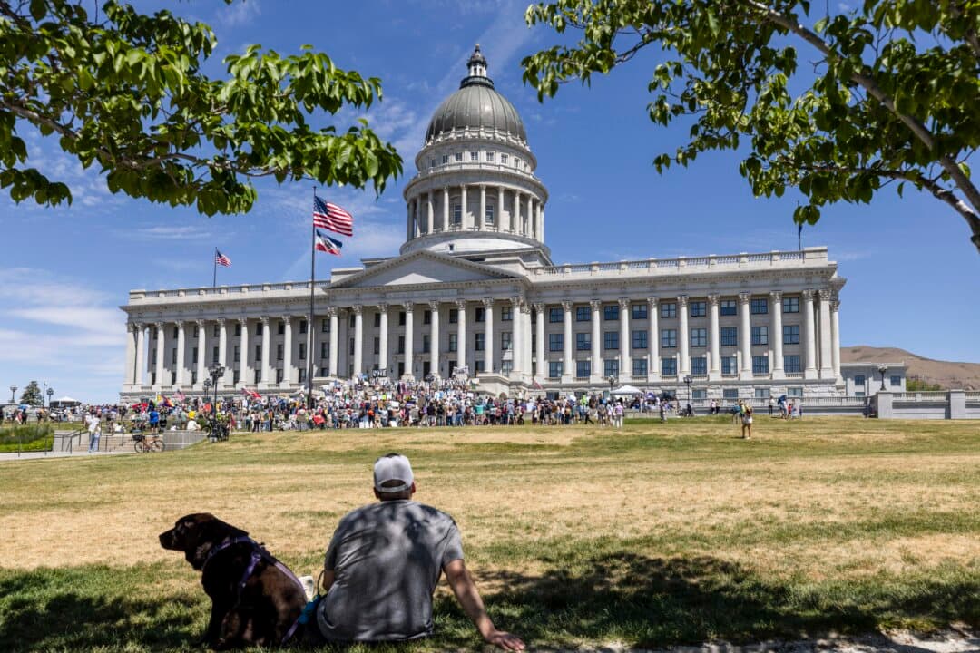 A man and his dog look at a demonstration at the Utah State Capitol to oppose the construction of the Stratos data center in Box Elder County in Salt Lake City, Utah, on May 23, 2026. The proposed data center would be about 40,000 acres and is speculated to use nine gigawatts of power. (Natalie Behring/Getty Images)