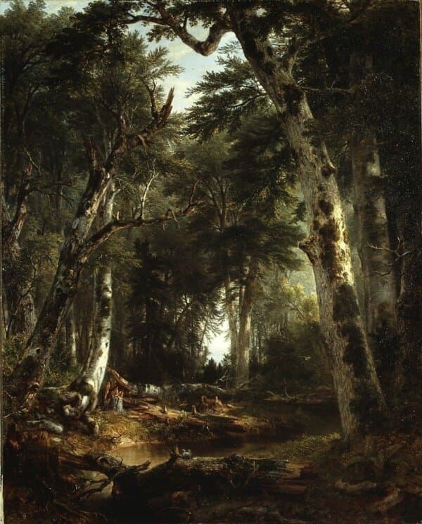 “In the Woods,” 1855, by Asher Brown Durand. Oil on canvas; 60 3/4 inches by 48 inches. Gift in memory of Jonathan Sturges by his children, 1895; Metropolitan Museum of Art, New York City. (Public Domain)