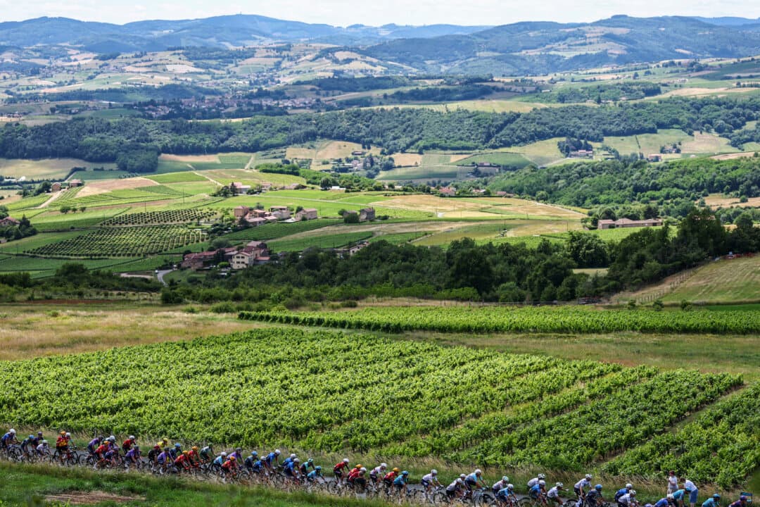 The pack of riders advance during the 5th stage of the Tour Auvergne-Rhone-Alpes cycling race—195.8 km (121 miles)—between Saint-Chamond and Villars-les-Dombes, France, on June 11, 2026. (Anne-Christine Poujoulat/AFP via Getty Images)