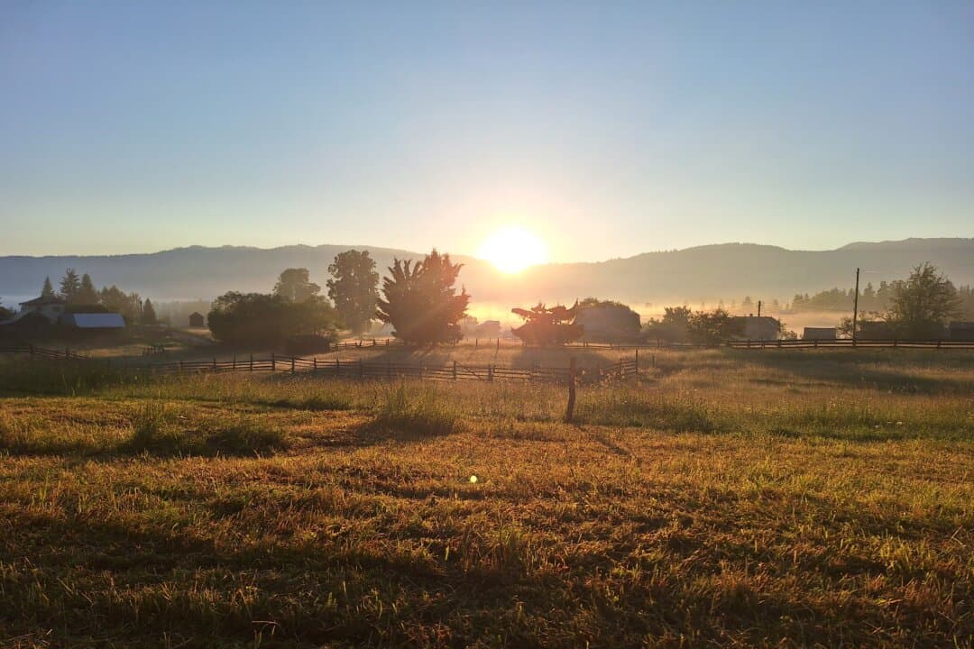 Sunrise in the mountains in Neagra Sarului, Romania, on June 22, 2026. (Mihut Savu/The Epoch Times)