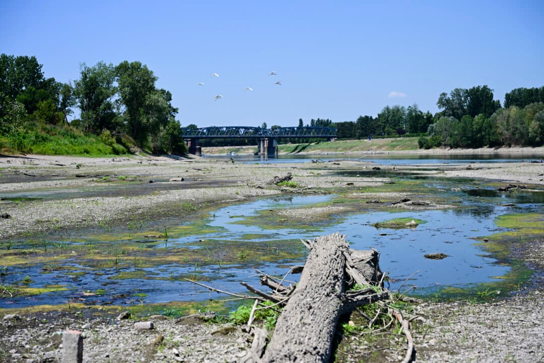 Sandbanks and a dry riverbed along the river Po in Castelvetro Piacentino, near Cremona, Italy, on July 3, 2026. (Piero Cruciatti/AFP via Getty Images)
