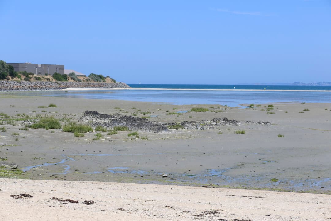Valais beach in Saint Brieuc, closed to swimming following an official decree due to insufficient water quality in Saint Brieuc, Cotes d'Armor Brittany, France, on July 11, 2026. (Hélène Rigny/Hans Lucas/AFP via Getty Images)