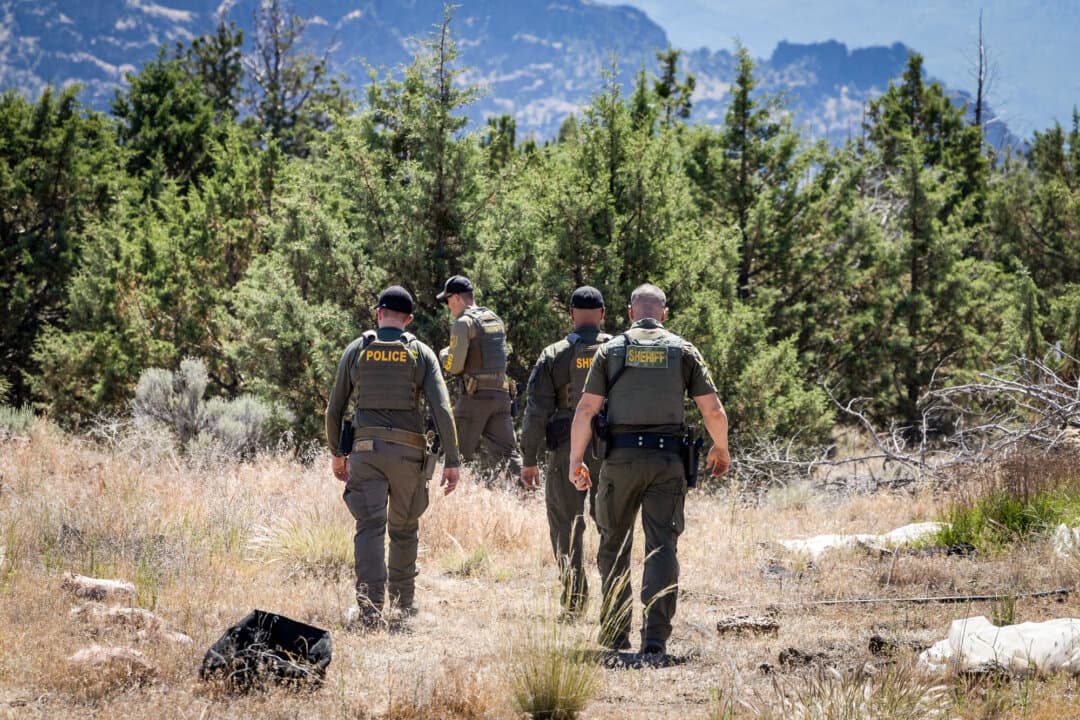 Officers with the Siskiyou County Sheriff's Department participate in an operation targeting illegal marijuana farms growing outside of Montague, Calif., on June 4, 2026. Violent crime associated with illegal marijuana grow farms has increased significantly, the sheriff said. (John Fredricks/The Epoch Times)