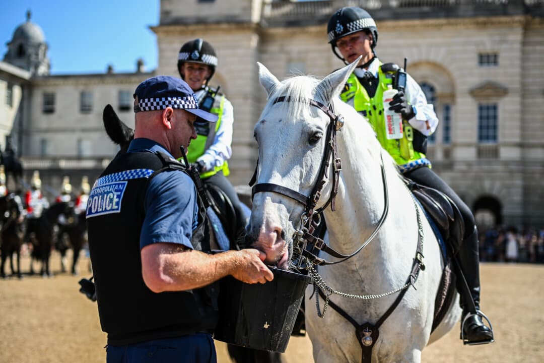 Police horses are given refreshments during the handover of The King's Life Guard amid a fourth consecutive summer heatwave affecting southern England, in London, on July 29, 2026. (Ben Montgomery/Getty Images)
