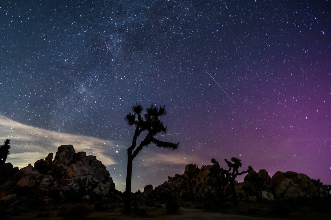 Northern Lights illuminate the sky above Joshua Tree National Park during the Perseid meteor shower in Joshua Tree, Calif., on Aug. 12, 2024. (Apu Gomes/AFP via Getty Images)