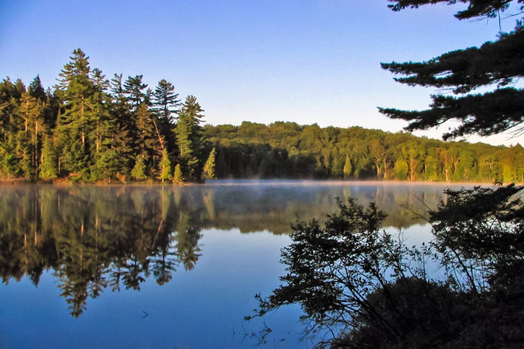 Long Pond in the Saint Regis Canoe Area, N.Y., on July 19, 2006. (Mwanner/CC BY-SA 3.0)