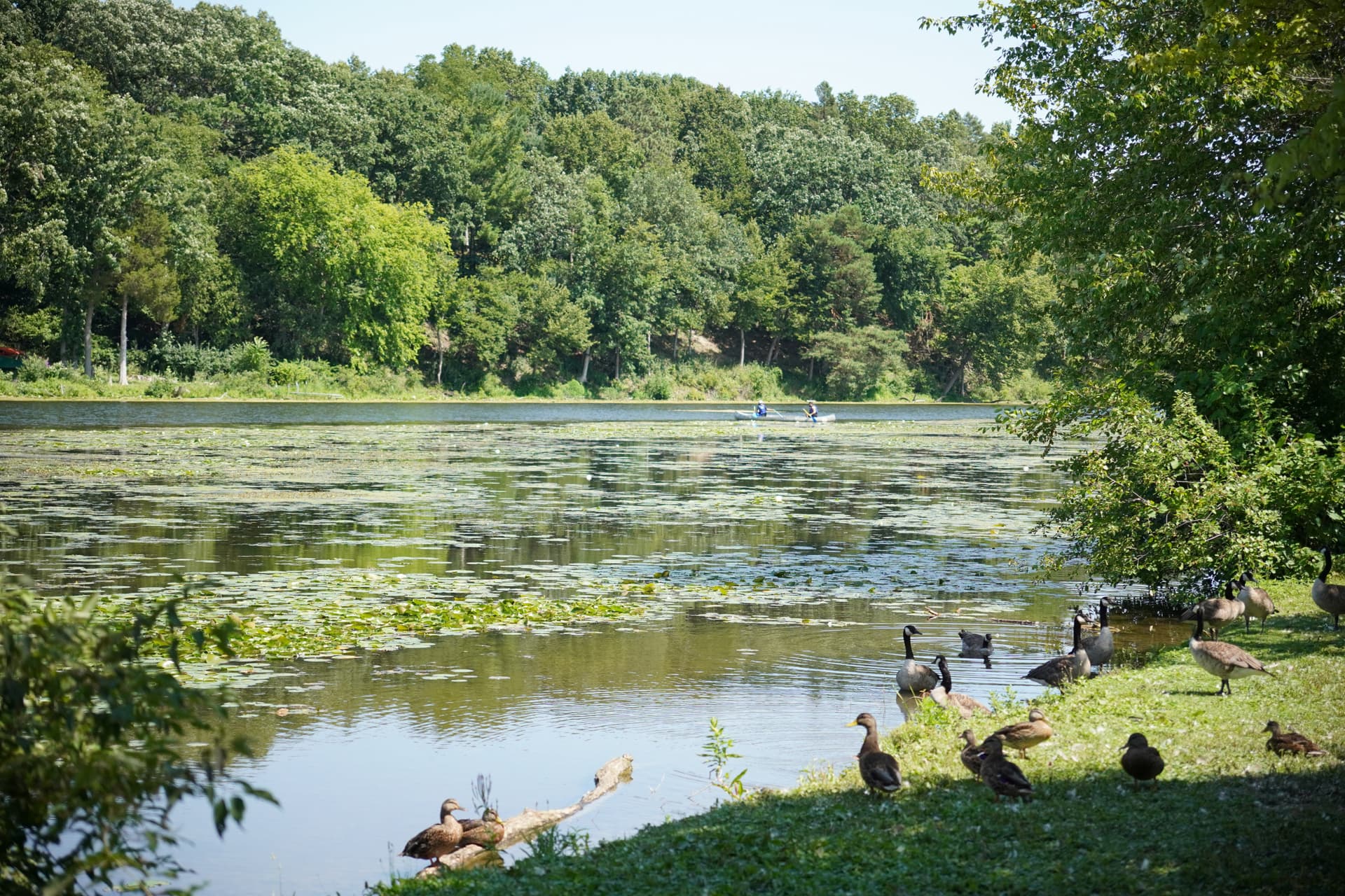 Gallup Park in Ann Arbor, Mich., on Aug. 3, 2026. (Jacob Burg/The Epoch Times)