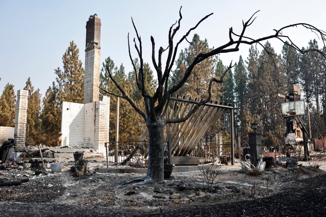 A burned tree stands amid the remains of a home destroyed in the Old Trails Fire in Spokane, Wash., on Aug. 5, 2026. Wind-driven wildfires burned over 10,000 acres combined in the Spokane area over the weekend, destroying more than 700 structures, including many homes, and 65,000 people were forced to evacuate. (Mario Tama/Getty Images)