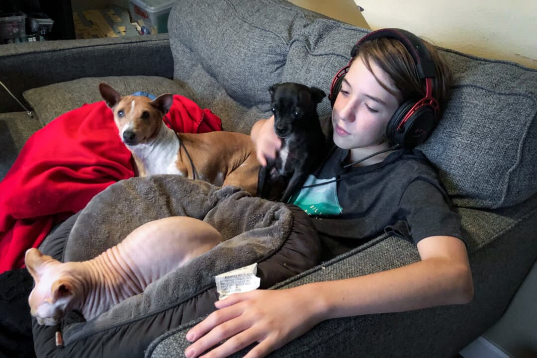 (Left) Alexander Neville, 14, reclines with family pets in an undated photo. Alexander died of fentanyl poisoning in June 2020 at the age of 14. (Right) Amy Neville, founder of the Alexander Neville Foundation, in Anaheim, Calif., on July 10, 2025. (Courtesy of Amy Neville, John Fredricks/The Epoch Times)