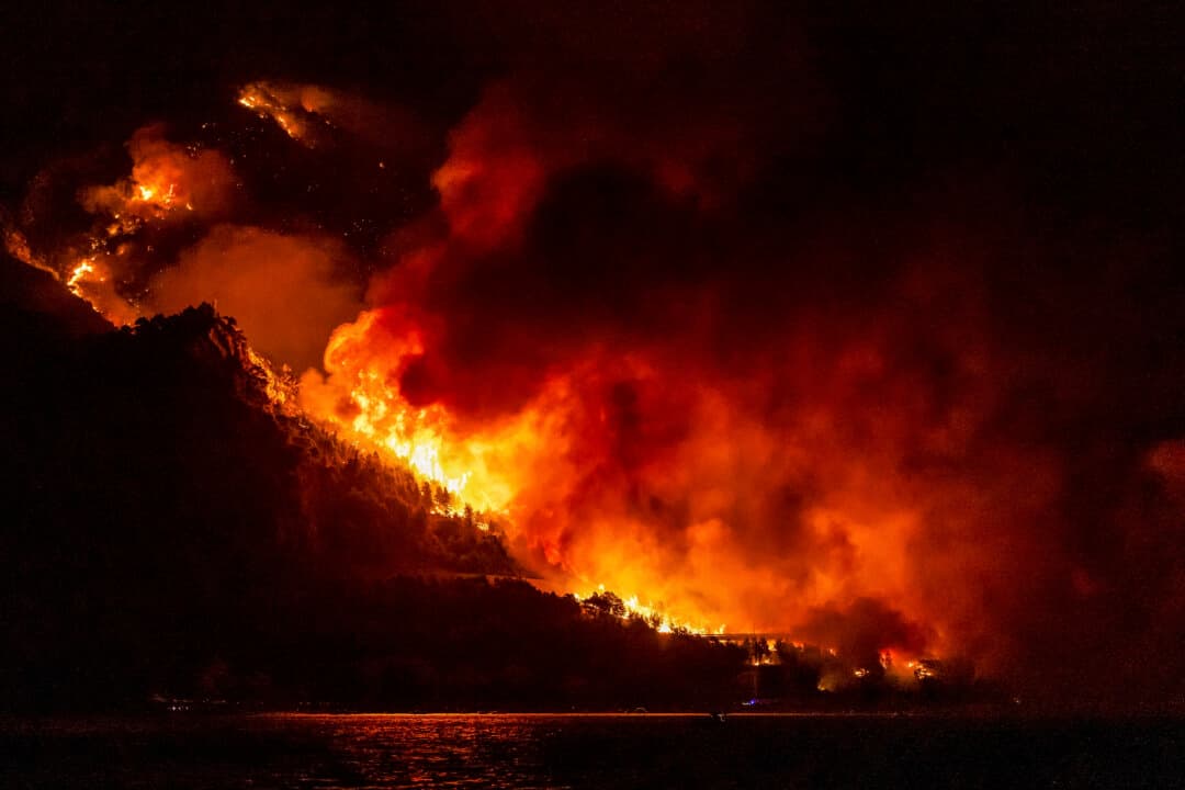 A wooden area engulfed in flames during a raging wildfire near the town of Omis, Croatia, on Aug. 14, 2026. Croatian firefighters battled overnight with one of the worst wildfires in the country's history, authorities said on Aug. 14. (Miroslav Lelas/AFP via Getty Images)