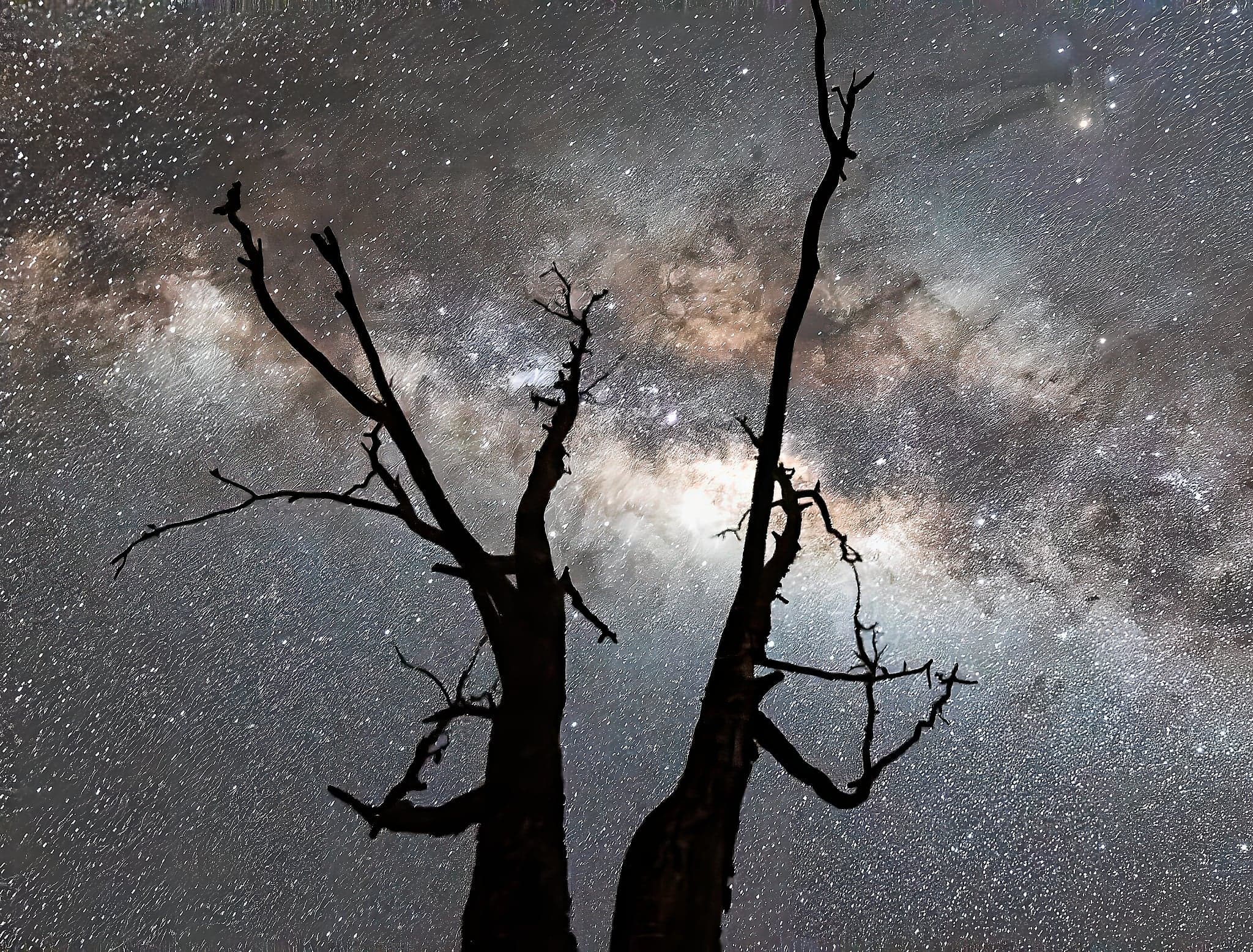 A photo Holman calls the "two ugly sisters", taken at Lakefield National Park, with the Milky Way in the background. (Courtesy of David Holman)