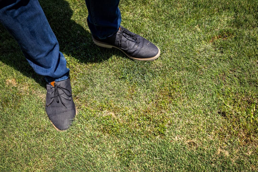 Grass in Ladera Ranch, Calif., on July 24, 2026. (John Fredricks/The Epoch Times)