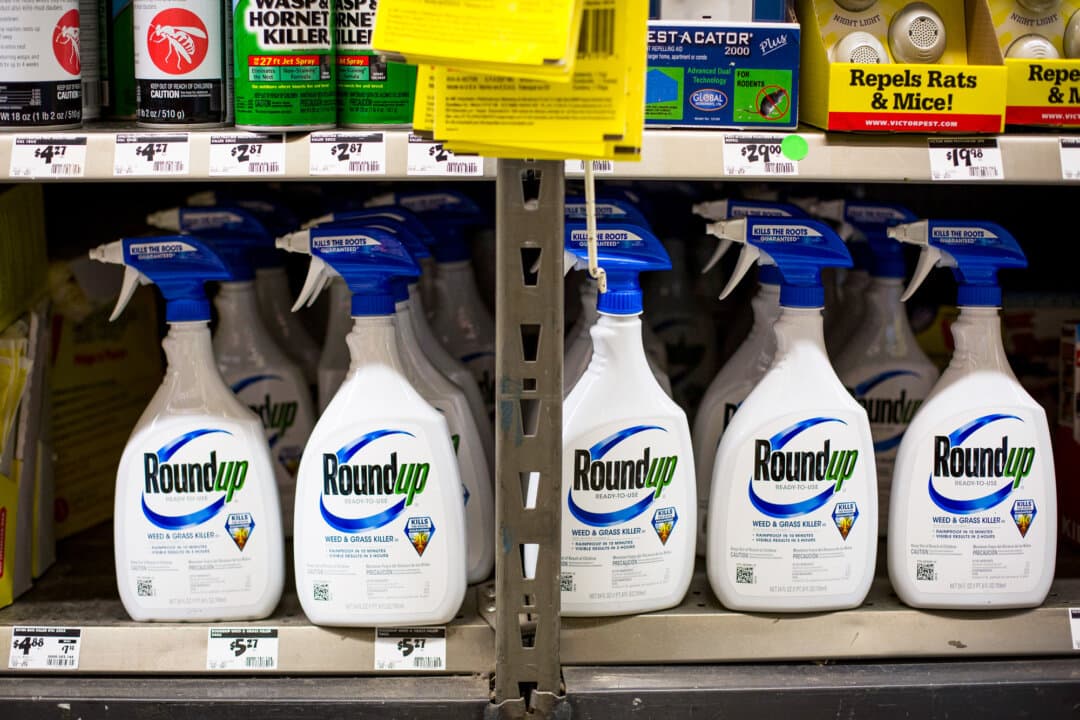 The Roundup herbicide, one of Monsanto's agricultural products that contains glyphosate. (Samira Bouaou/The Epoch Times)
