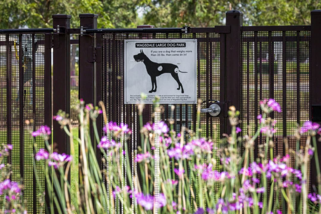 A dog park in Ladera Ranch, Calif., on July 24, 2026. Pesticide exposure is associated with increased risk for common canine cancers, among other ailments, according to extensive research. (John Fredricks/The Epoch Times)