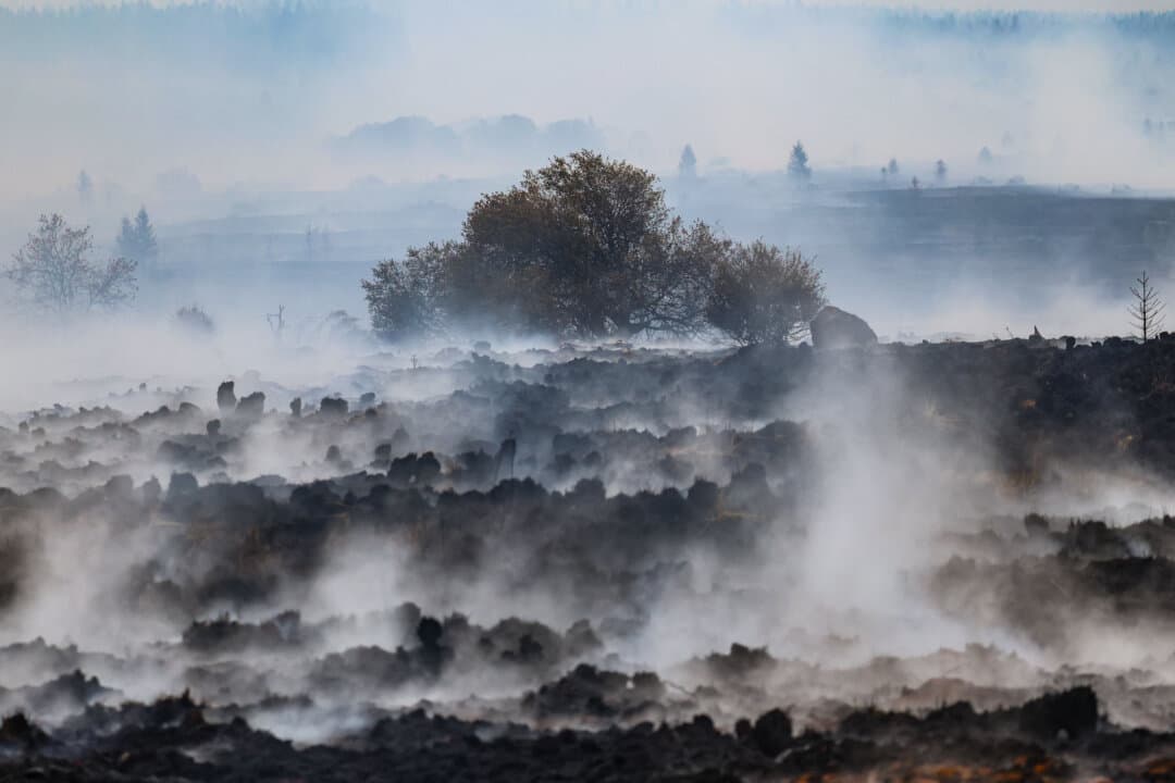 Smoke billows from burned land near the Signal de Botrange during a wildfire at the High Fens nature reserve near Sourbrodt, Belgium, on Aug. 18, 2026. (Bruno Fahy/Belga/AFP via Getty Images)