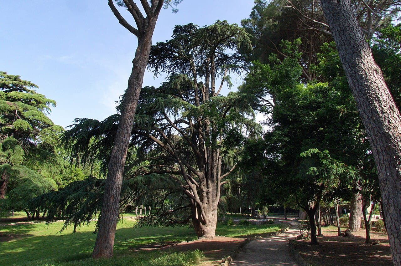 The grounds of the Villa Celimontana in Rome. (Public domain)