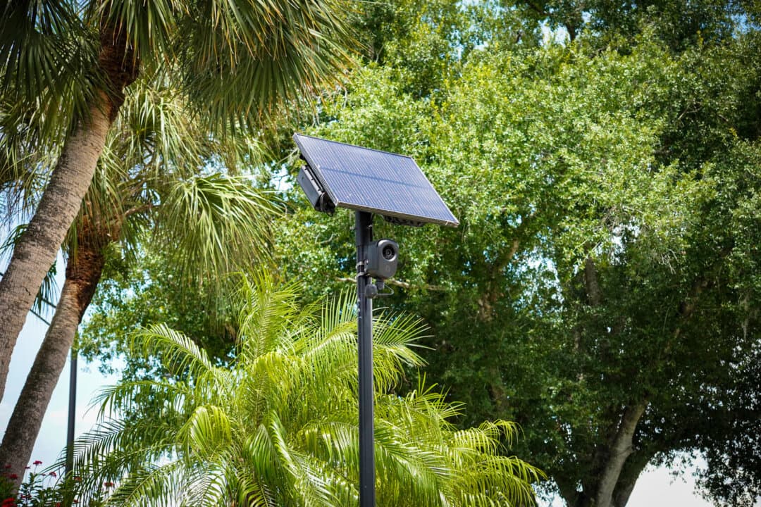 (Left) A Flock Safety camera along Cattleman Road in Sarasota, Fla., on Aug. 21, 2026. (Right) A Flock Safety camera at the entrance of a residential neighborhood near Bee Ridge Road in Sarasota, Fla., on Aug. 21, 2026. (Jacob Burg/The Epoch Times)