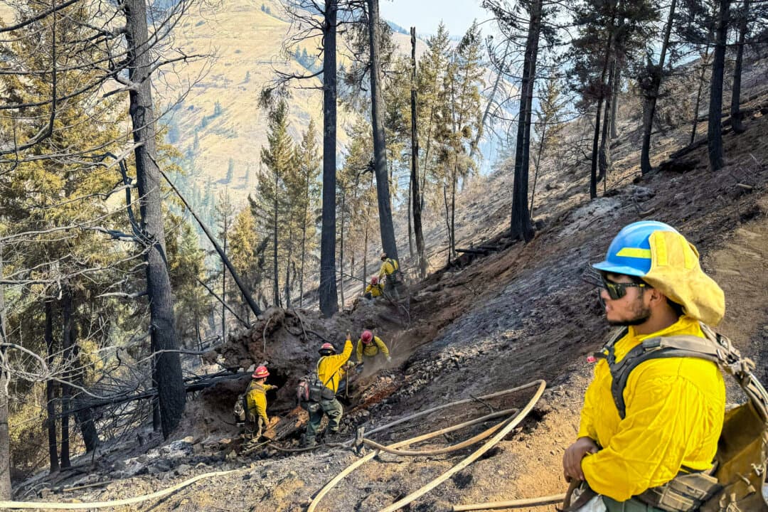 (Top) Firefighters dressed in yellow head upstream to hunt down and extinguish any hot spots they find, while two personnel in red get in position to guide in a helicopter at the Mill Creek water intake facility in northeastern Oregon on Aug. 26, 2026. (Bottom) Firefighter Jose Ramos (R) and his fire crew conduct mop-up work as part of the effort to contain the Paradise fire above Mill Creek in northeastern Oregon on Aug. 26, 2026. (T.J. Muscaro/The Epoch Times)