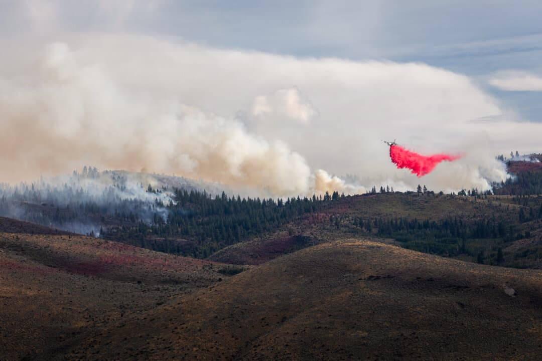 A firefighting aircraft drops fire retardant during the Hawk fire in Reno, Nev., on Aug. 23, 2026. The wildfire spread from the Sierra foothills towards Reno, forcing thousands to evacuate their homes. Officials said the fire was human-caused, like many wildfires in the western United States. (Trevor Bexon/Getty Images)