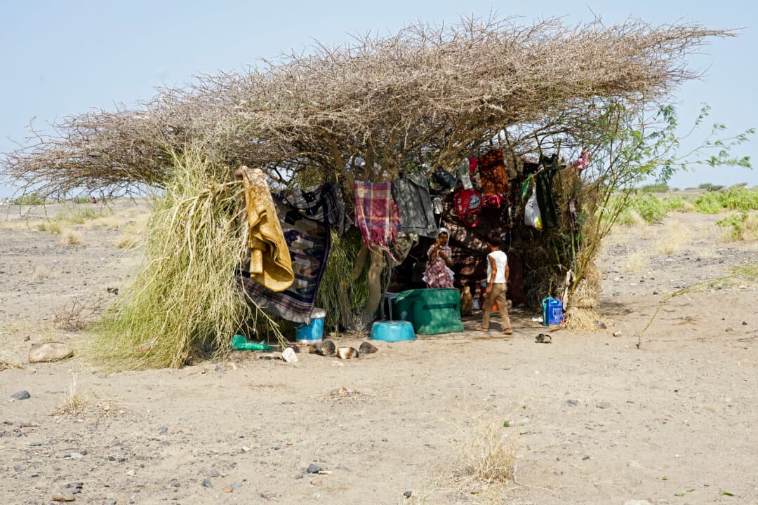 Children of internally displaced Yemeni people who fled their homes due to renewed clashes between Yemen's Saudi-backed government forces and the country's Iran-backed Houthis, stand under a tree with their belongings after seeking shelter in Mocha, on the Red Sea coast of Yemen on Sept. 7, 2026. (AFP via Getty Images)