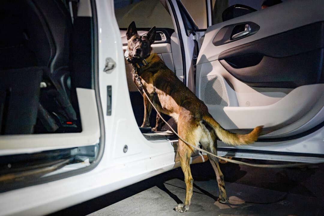 (Top) A decoder recovered during an raid on an underground casino in Los Angeles County on Aug. 20, 2026. (Bottom) A drug sniffing K-9 assists during the raid. (Michael Ares for The Epoch Times)