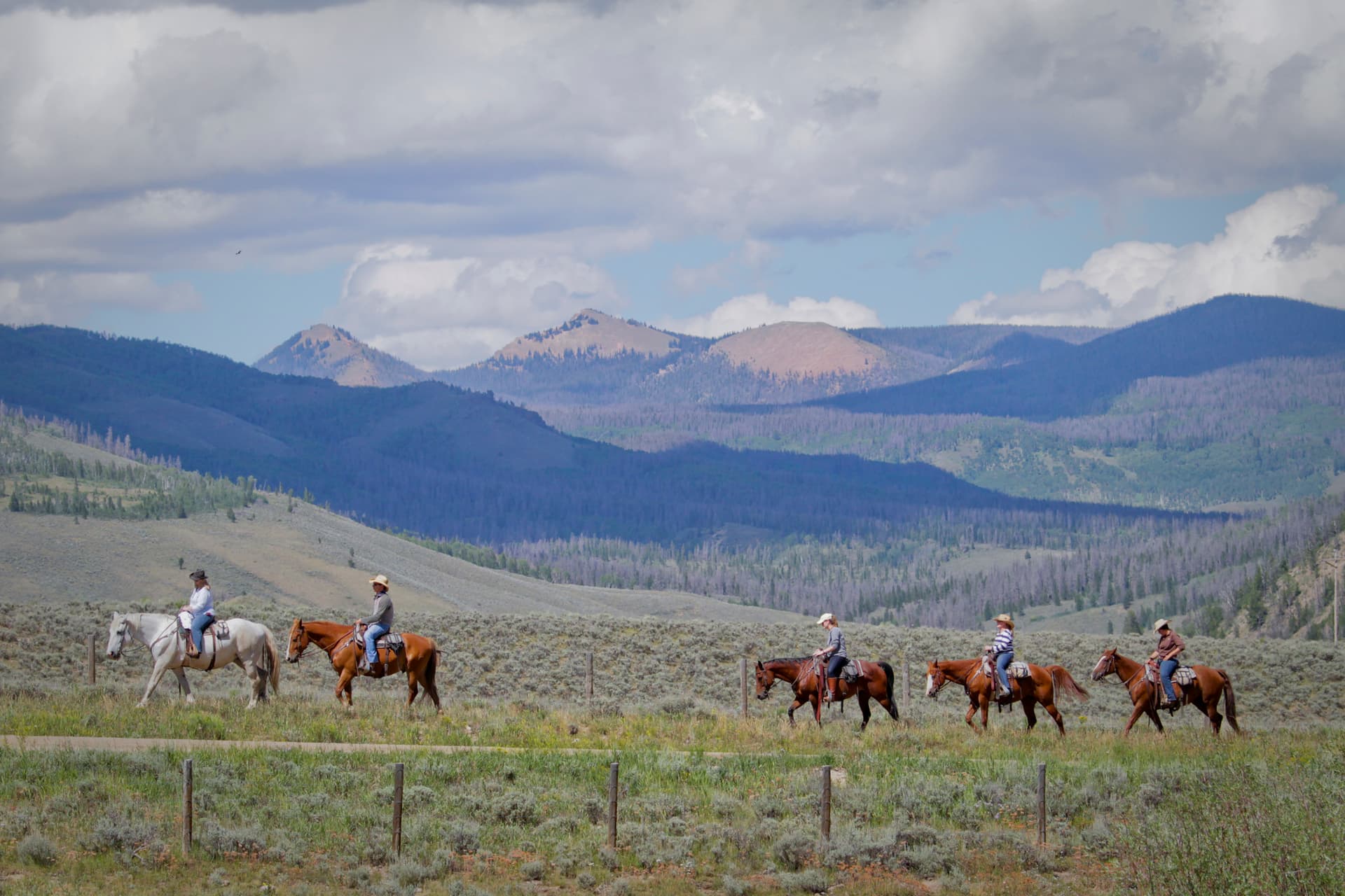 C Lazy U Ranch pairs luxury all-inclusive with a full-day Working Cattle Ranch Experience across 8,500 acres, including cattle sorting clinics and a trail picnic lunch. (C Lazy U Ranch/TNS)