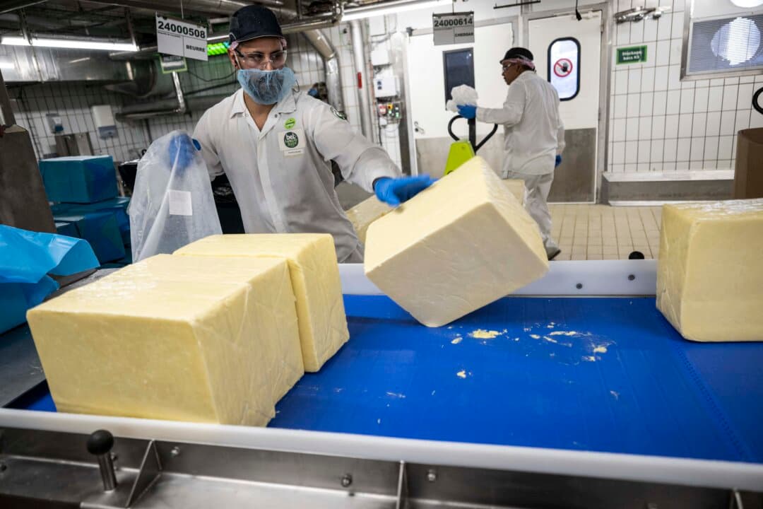 An employee of French industrial cheese producer Bel removes cheddar cheese blocks on the 'La Vache qui rit' cheese production line during a press visit marking the factory’s 100th anniversary in Lon-le-Saunier factory, France, on Oct. 6, 2026. (Sebastien Bozon/AFP via Getty Images)