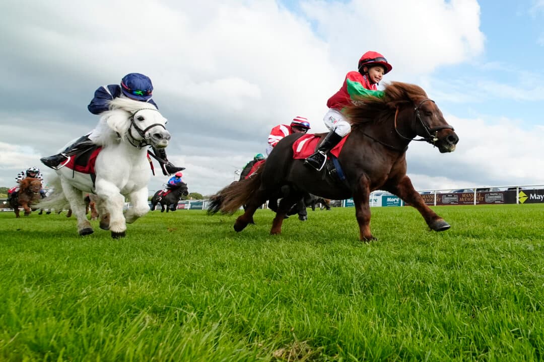 A boy riding Minimou (R) wins the Shetland Pony Derby at Plumpton Racecourse in Plumpton, England, on Oct. 19, 2026. (Alan Crowhurst/Getty Images)
