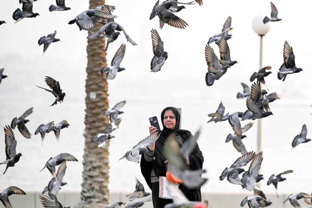 A woman films pigeons flying along the corniche in Doha, Qatar, on Oct. 20, 2026. (Mahmud Hams/AFP via Getty Images)
