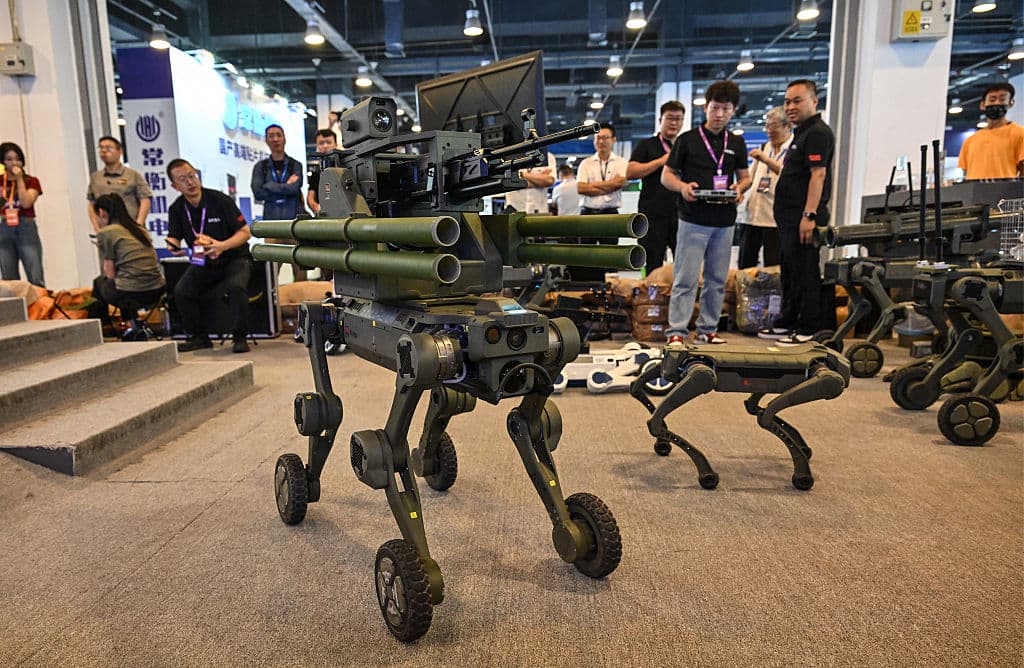 People look at robot dogs made for military and police use produced by Jushenzhiren company during the 14th China International Defence Electronics Exhibition (CIDEX) in Beijing on Sept. 15, 2026. (Adek Berry/AFP via Getty Images)
