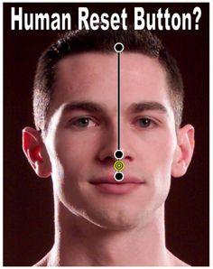 DU 26 (<a href="https://www.pinterest.com/explore/acupuncture-points/" target="_blank">pinterest</a>)