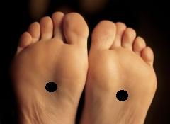 The ancient principles stipulate that consciousness resides in the heart and is supported by the kidneys. (Kidney 1)